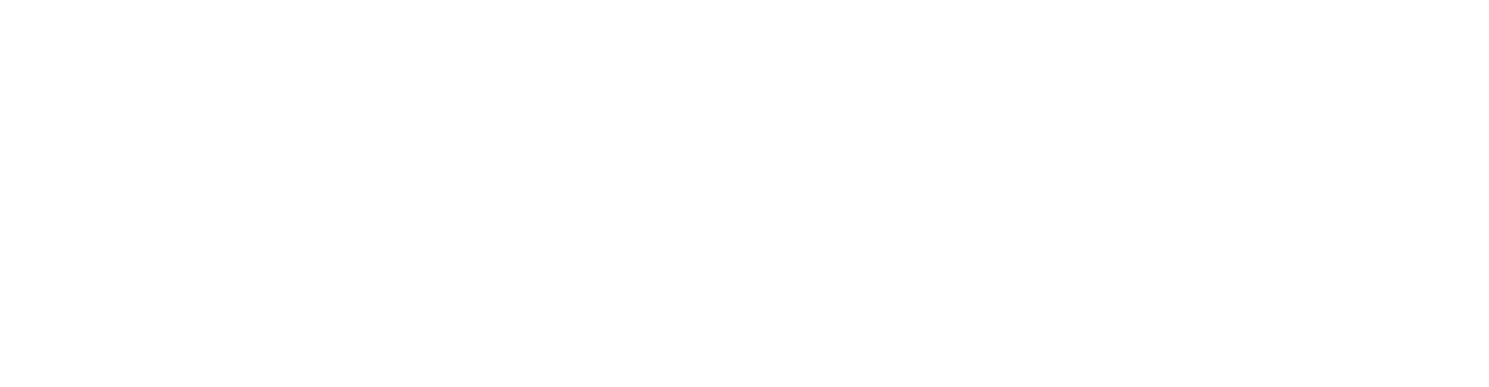 Palmetto Dental Studio