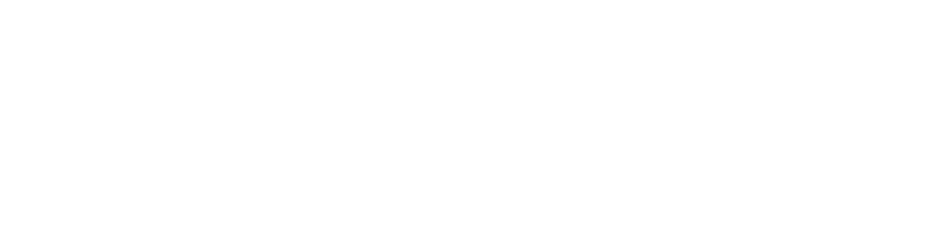 Palmetto Dental Studio